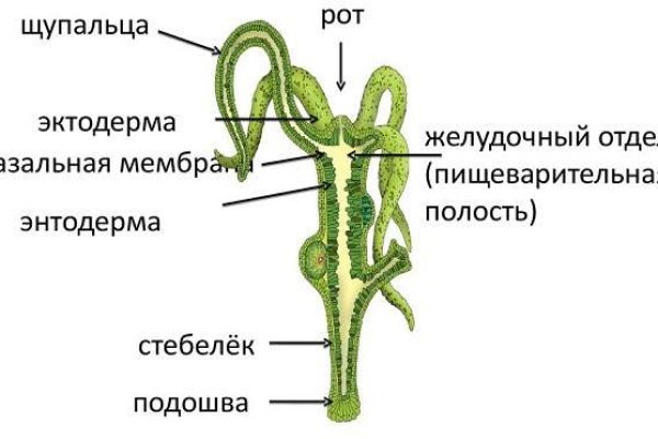 Вход на кракен